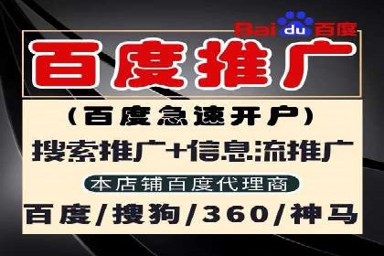 百度竞价排名策略解析：一家公司的广告投放策略全揭秘